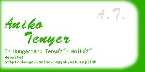 aniko tenyer business card